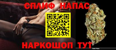 ПСИЛОЦИБИНОВЫЕ ГРИБЫ Малгобек